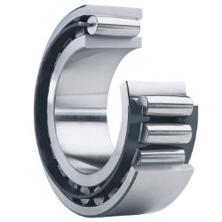 CARB Toroidal Makaralı Rulmanlar